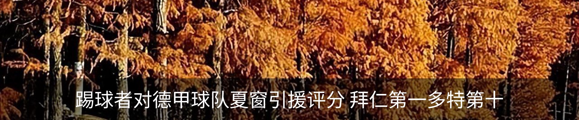 新闻中心